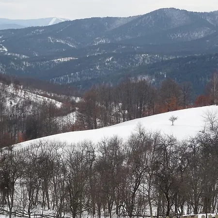 Captain's Village Vakantiehuis *