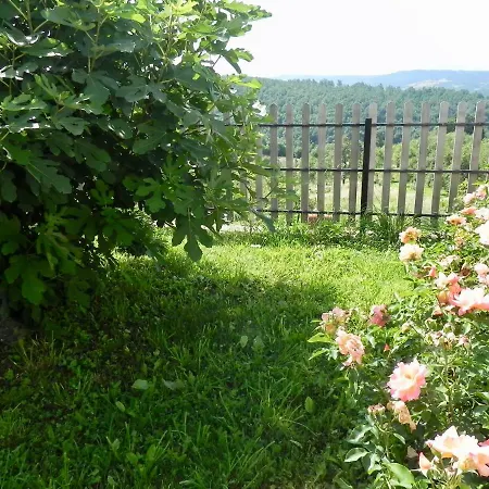 Captain's Village Vakantiehuis